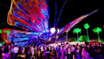 YouTube set to livestream Coachella opening weekend