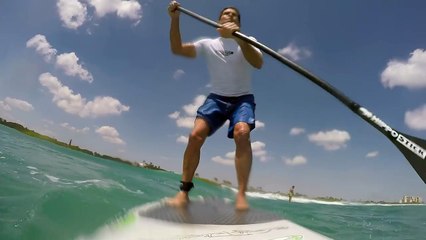 En pleine mer, il va faire une rencontre inquiétante : un requin spinner  !