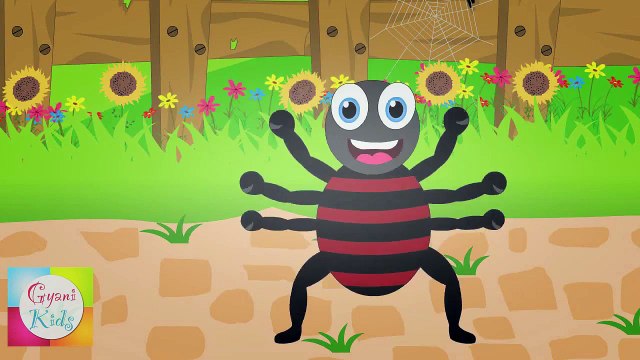 Incy Wincy Spider (Itsy Bitsy Spider) Nursery Rhyme | Kids Animation Rhymes Songs