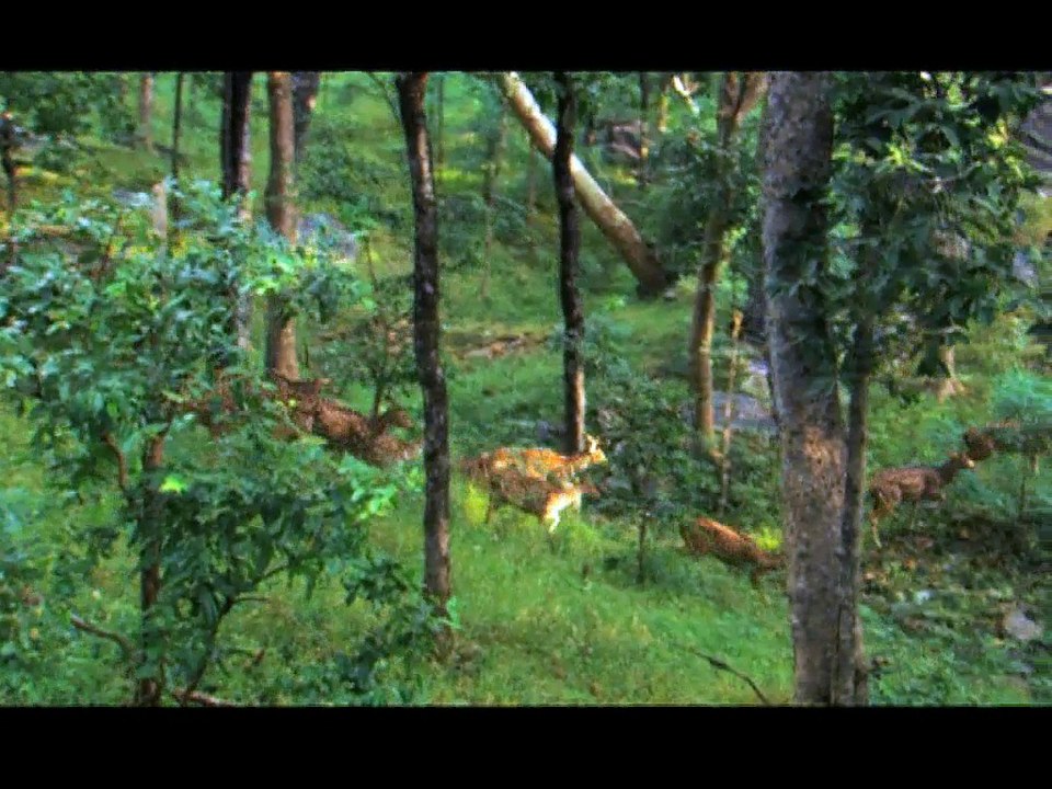 Kuş Bakışı 5. Bölüm