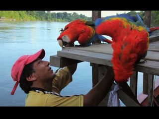 Kuş Bakışı 6. Bölüm