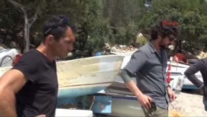 Bodrum'da Denizde Ölü Akdeniz Foku Bulundu