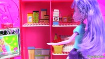 Barbie Refrigerator with Elsa, Twilight, and Shopkins