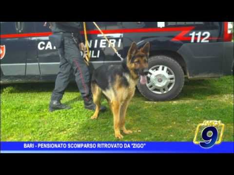 Bari | Pensionato scomparso ritrovato da Zigo