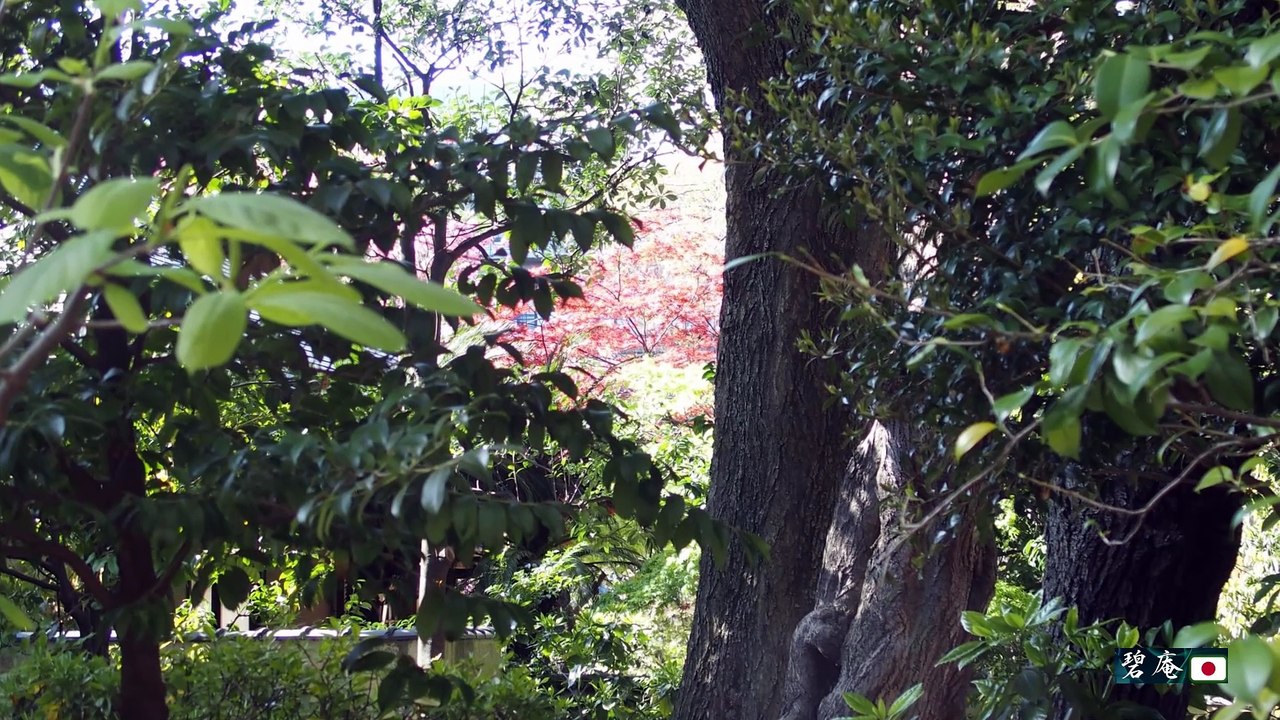 【2016/4/15】靖国神社：新緑