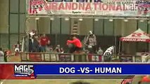 Dog vs Human BMX Race