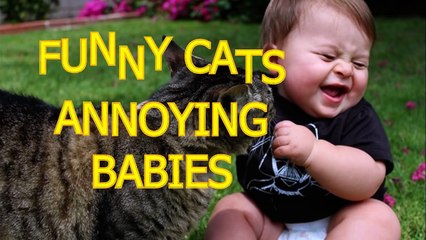 Funny cats annoying babies - Cute cat & baby compilation