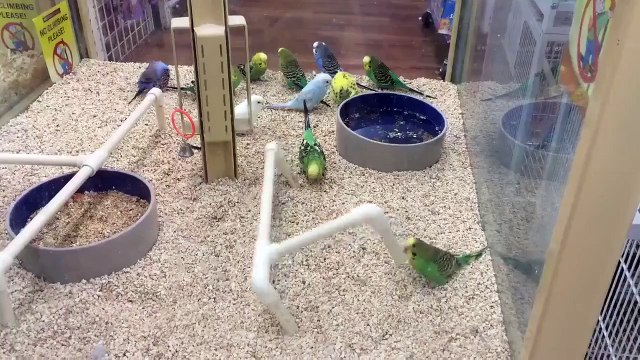 Тот случай, когда спорить бесполезно