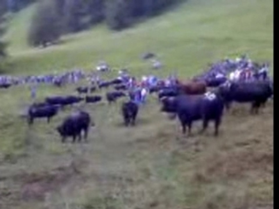 Inalpe Odonne 15 juin 2007 b