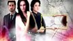 Ary Digital Drama Tum Yaad Aaye Episode 11 -14 April 2016