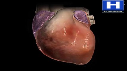 Arrhythmias pharmacology, symptoms, causes, teatment