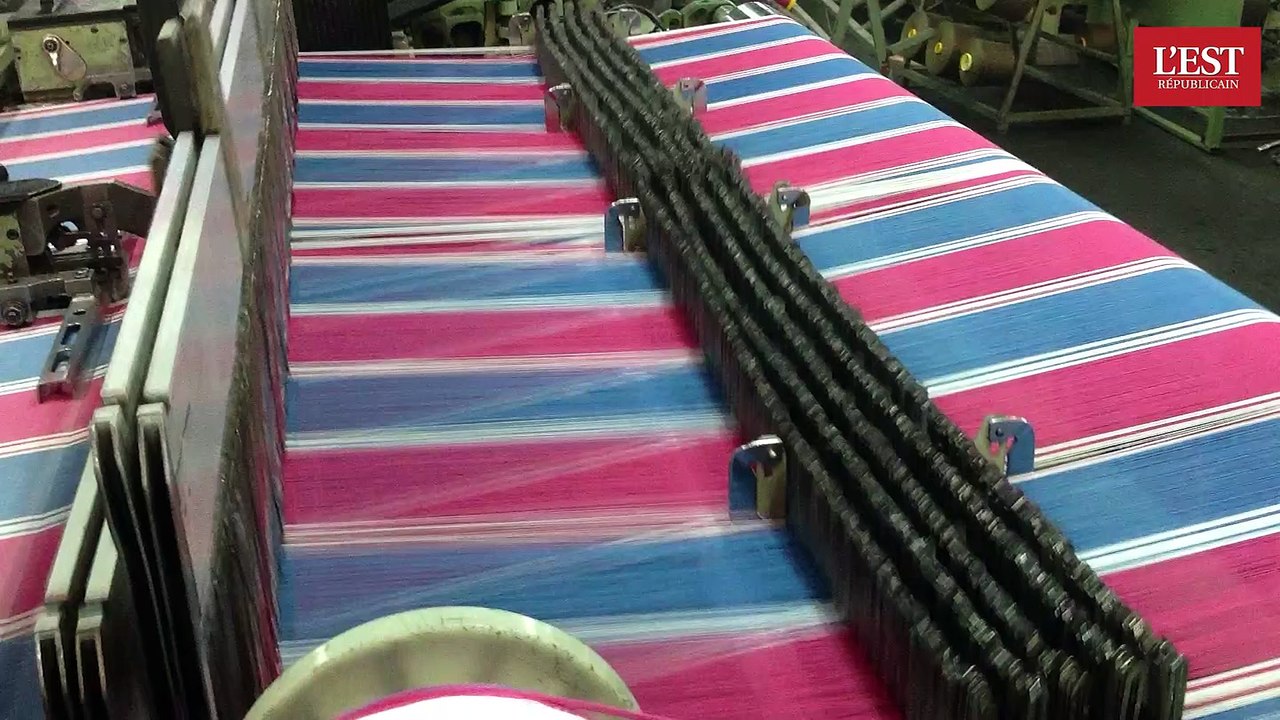 Turtle Bay : une vache laitière pour Nairobi