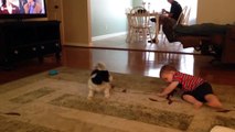 Dog spins in a circle 24 times!