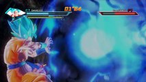 Super Saiyan Blue Goku vs Beerus - ONLINE
