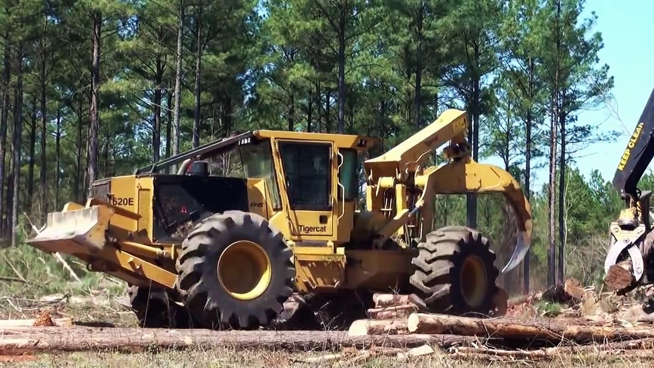 Skidder Tigercat 620E