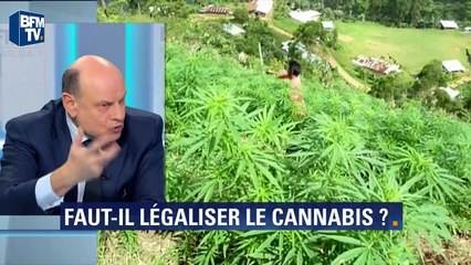 Légaliser le cannabis en France ? Jean-Marie le Guen (PS) relance le débat (Avril 2016)