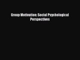 Read Group Motivation: Social Psychological Perspectives Ebook Free