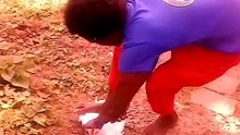 terry running behind a headless chicken
