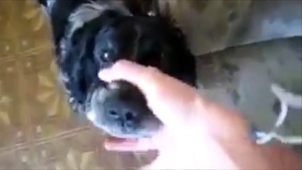 Errr.... Haha so funny