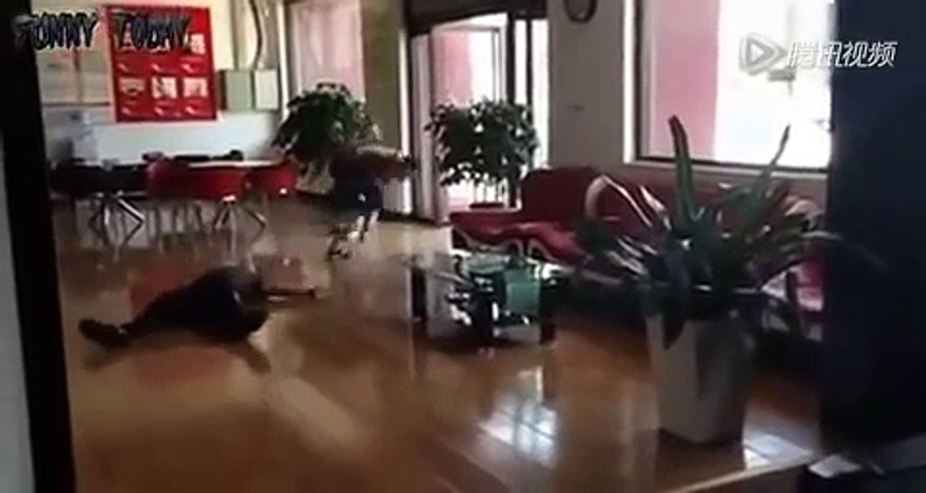 Don't kill me, bro CHINESE VERSION.