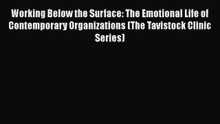 [Read book] Working Below the Surface: The Emotional Life of Contemporary Organizations (The