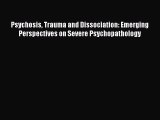 [Read book] Psychosis Trauma and Dissociation: Emerging Perspectives on Severe Psychopathology