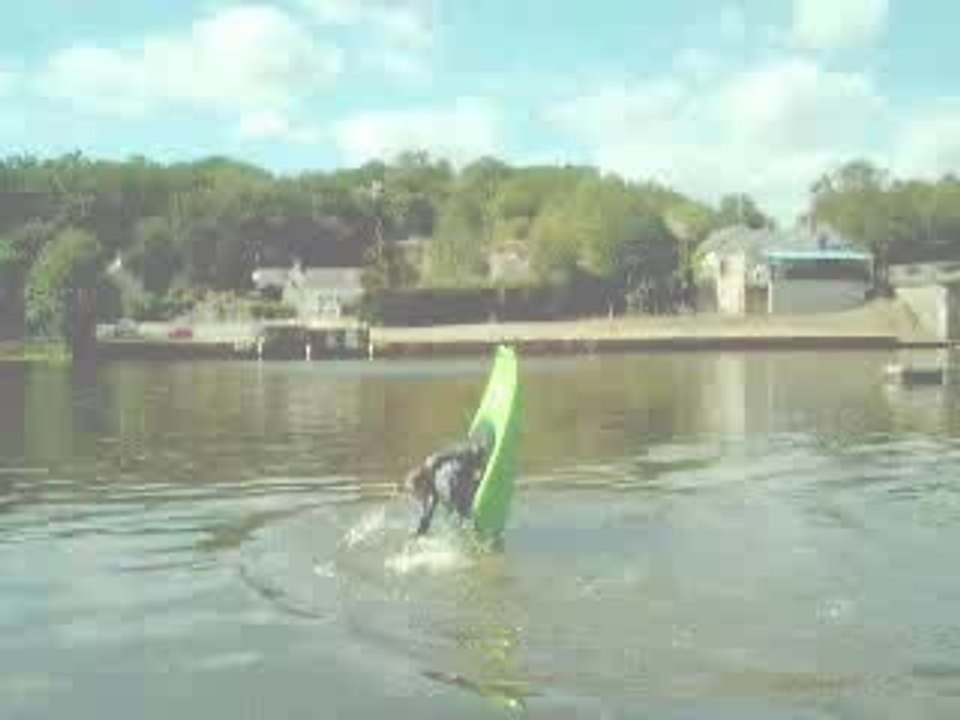 saison 2005