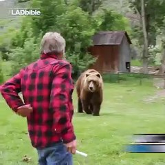 Imagine being best mates with a bear...