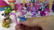 Fan Mail #23 Mystery Surprise Blind Bags Littlest Pet Shop Opening LPS