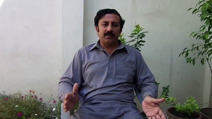 Introduction Of Sahiwal Pigeons By Nadeem Shahzad
