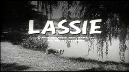 LASSIE - SERIE DE TV ( ESPAÑOL LATINO )