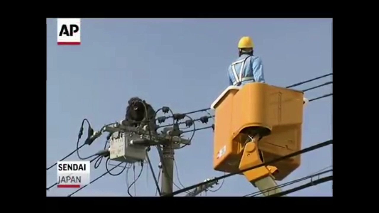 Chimpanzee on High Voltage wires in Japan