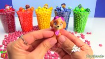 Shopkins and Paw Patrol in Skittles Candy