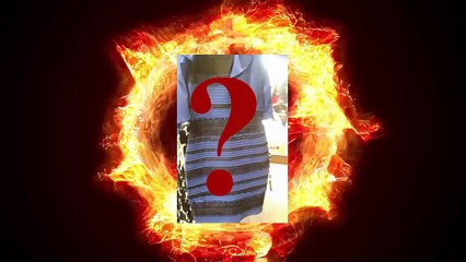 What is the Colour of The Dress?