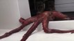 Badass Octopus ESCAPES From Aquarium