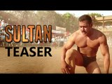 Sultan Official Teaser ¦ Salman Khan ¦ Anushka Sharma