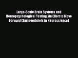 Read Large-Scale Brain Systems and Neuropsychological Testing: An Effort to Move Forward (Springerbriefs