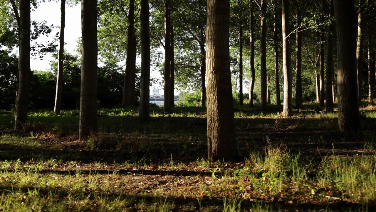 Portrait Brigitte Bauer - France(s) territoire liquide