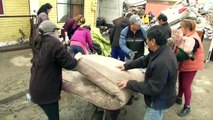 Rebuilding Begins After Chile Quake, Tsunami
