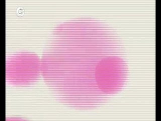 STB - Vikna-Novyny (2003-2004) - Заставка ВІКОН