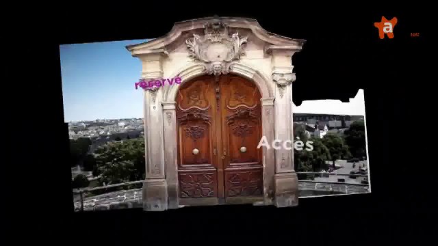 ACCES RESERVE 2016 [S.2016] [E.15] - Accès Réservé du 15 avril 2016 : au Museum d'Histoire Naturelle d'Angers