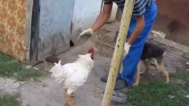 Game of Thrones’ Emilia Clarke wants equal opportunity nudity: ‘Free the penis’