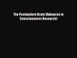 Download The Postmodern Brain (Advances in Consciousness Research) Ebook Free