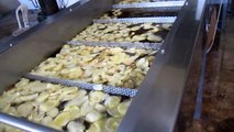 Patates Cipsi Makinası ,Patates cipsi hattı