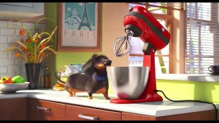 Funny dog animation where we say that we love social networking site Reddit