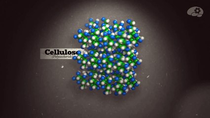 Макаронный салат с приправой науки