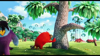 ANGRY BIRDS LA PELÍCULA. Tráiler Final HD en español. En cines 13 de mayo