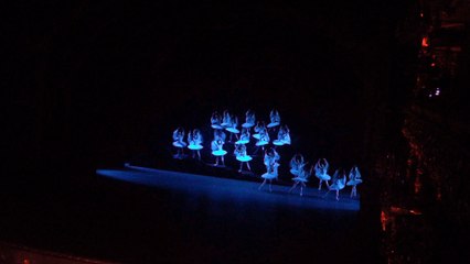 La Bayadere. Shades. Part I.