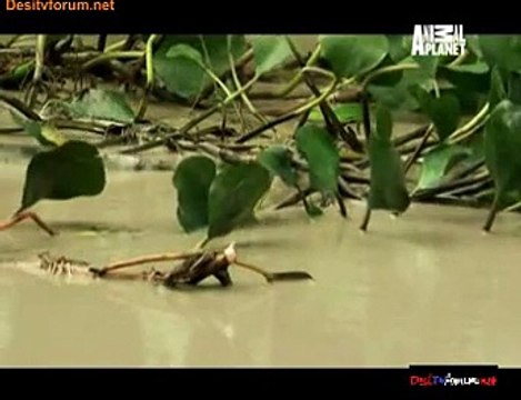 Animal Planet Safari 20th September 2014 Video Watch Online pt3