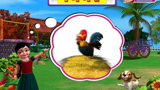 Ko Ko Ko Kodi - Chinnu Telugu Rhyme 3D Animated